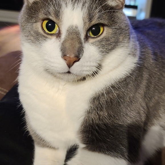 Meet your Posher, April - Picture 6 of 9